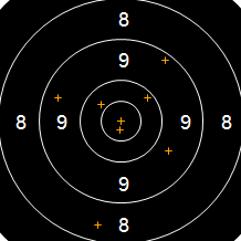 Target Image