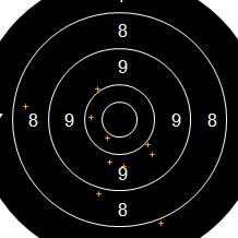 Target Image