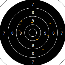 Target Image