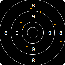 Target Image