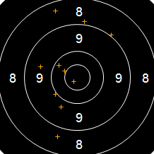 Target Image