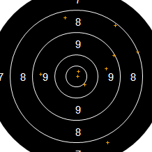 Target Image