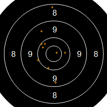 Target Image