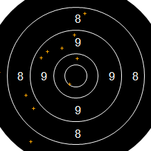 Target Image