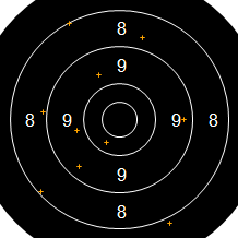 Target Image