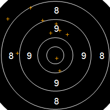 Target Image