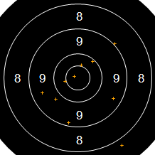 Target Image