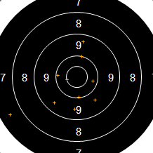 Target Image