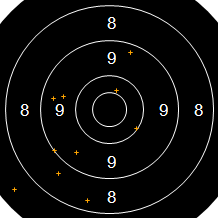 Target Image