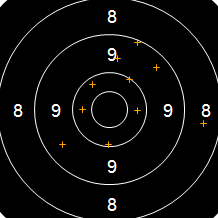Target Image