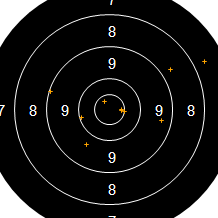 Target Image