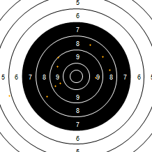 Target Image