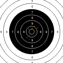 Target Image