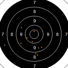 Target Image