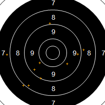 Target Image