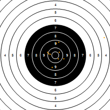 Target Image