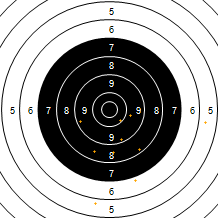 Target Image