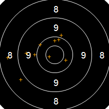 Target Image