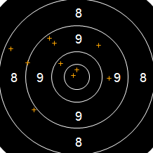 Target Image