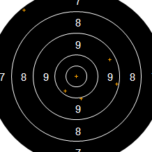 Target Image