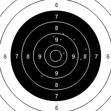 Target Image
