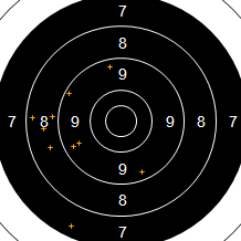 Target Image