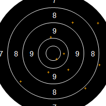 Target Image