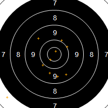 Target Image