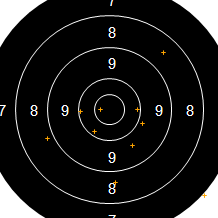 Target Image