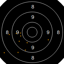 Target Image