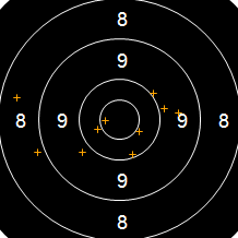 Target Image