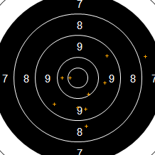 Target Image
