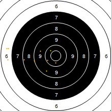 Target Image