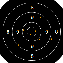 Target Image