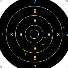 Target Image