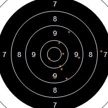 Target Image