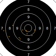 Target Image