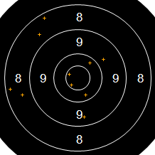 Target Image
