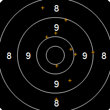 Target Image