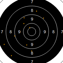 Target Image