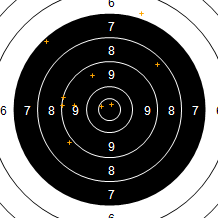 Target Image