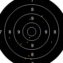Target Image