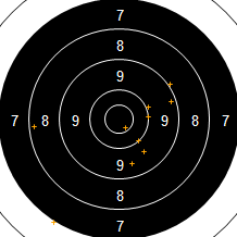 Target Image