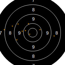Target Image