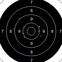 Target Image