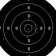 Target Image