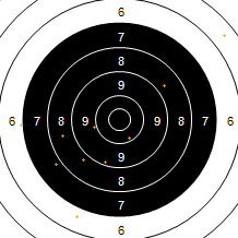 Target Image