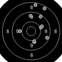 Target Image