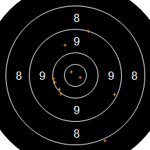 Target Image