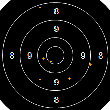 Target Image
